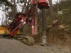 (2011.03.17) Уничтожение последнего места обитания ложнодрока монпелийского в России