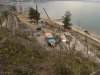 (2011.03.17) Уничтожение последнего места обитания ложнодрока монпелийского в России