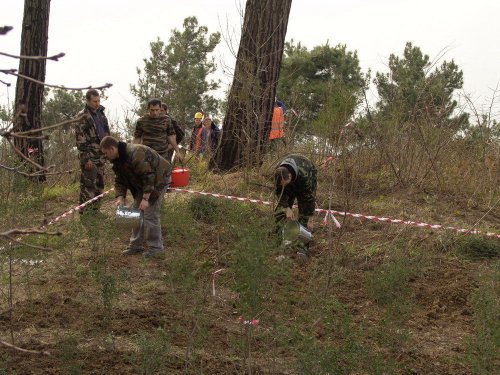 (2011.03.17) Уничтожение последнего места обитания ложнодрока монпелийского в России