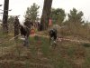 (2011.03.17) Уничтожение последнего места обитания ложнодрока монпелийского в России