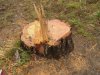 (2011.03.20) Гибель мыса Видного