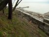 (2011.03.19) Мыс видный мёртв