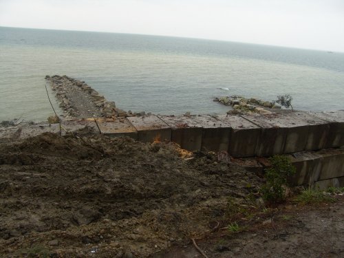 (2011.03.19) Мыс видный мёртв