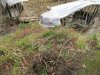 (2011.03.22) Общественная инспекция на мысе Видном