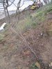 (2011.03.22) Общественная инспекция на мысе Видном