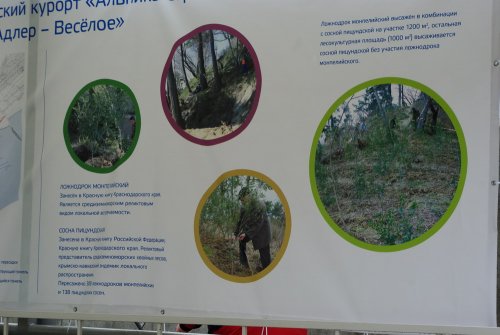 (2011.03.23) Радикальная акция на мысе Видный