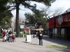 (2011.03.31) Экологические пикеты в Геленджике