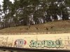 (2011.04.02) Вырубка сосны пицундской в Уч-Дере