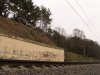 (2011.04.02) Вырубка сосны пицундской в Уч-Дере