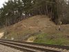 (2011.04.02) Вырубка сосны пицундской в Уч-Дере