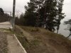 (2011.04.02) Вырубка сосны пицундской в Уч-Дере