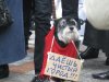 (2011.04.09) В экологически неблагоприятном Туапсе живут не только люди...