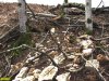 Здесь лес поврежден не так сильно, как левее по склону