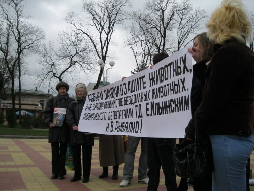 (2011.04.23) Пикет в Майкопе "Россия без жестокости!"