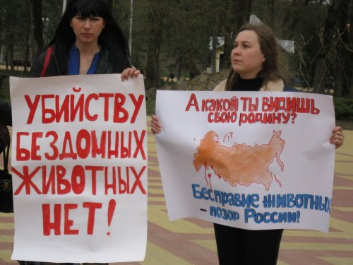 (2011.04.23) Пикет в Майкопе "Россия без жестокости!"