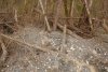 (2011.04.26-27) Свалки отходов РЖД в Адлерском районе г.Сочи