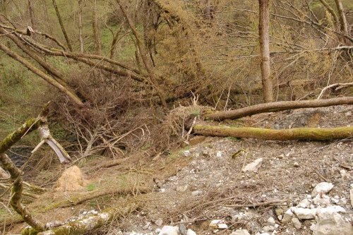 (2011.04.26-27) Свалки отходов РЖД в Адлерском районе г.Сочи