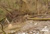 (2011.04.26-27) Свалки отходов РЖД в Адлерском районе г.Сочи