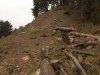 (2011.04.26) Вырубки на Уч-Дере продолжаются