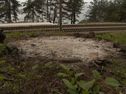 (2011.04.26) Вырубки на Уч-Дере продолжаются