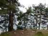 (2011.04.26) Вырубки на Уч-Дере продолжаются