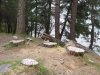 (2011.04.26) Вырубки на Уч-Дере продолжаются