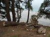 (2011.04.26) Вырубки на Уч-Дере продолжаются