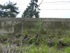 (2011.04.26) Вырубки на Уч-Дере продолжаются