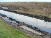 (2011.04.15) Радужная пленка на воде, грязные тростники