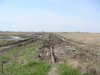 (2011.04.15) Территория заказника в районе нефтепромыслов