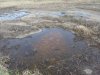 (2011.04.15) Озеро с битумной коркой