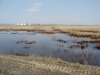 (2011.04.15) Привычный пейзаж скважины в воде, нефтяные полосы на тростнике