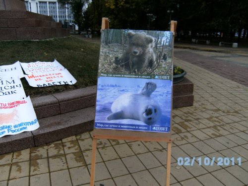 Пикет в защиту животных в Майкопе приуроченный ко Всемирному дню защиты животных