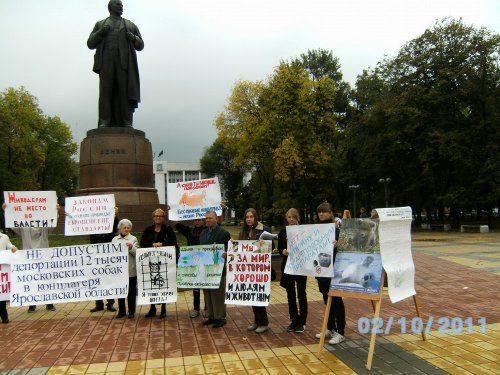 Пикет в защиту животных в Майкопе приуроченный ко Всемирному дню защиты животных