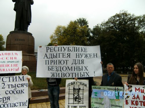 Пикет в защиту животных в Майкопе приуроченный ко Всемирному дню защиты животных