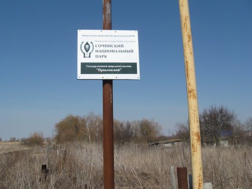 Аншлаг Сочинского национального парка, к которому относится заказник Приазовский 