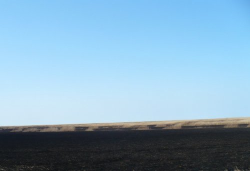 Гари в плавневой зоне возле пос.Ачуево