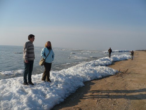 Шуга на берегу Азовского моря