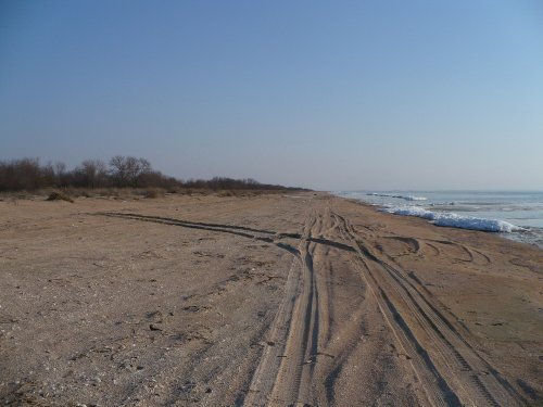 Кучугуры. Движение автотранспорта по береговой полосе разрушает ее экосистемы
