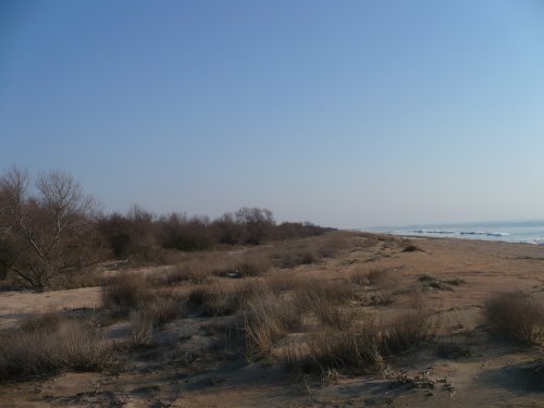 Славянский район, Ачуево, Прорвенский, Калабатка, Кучугуры, плавни, море, пляж, лиманы, скважины, нефть и газ