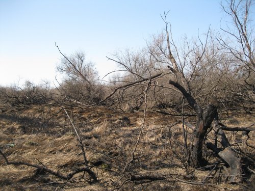 Славянский район, Ачуево, Прорвенский, Калабатка, Кучугуры, плавни, море, пляж, лиманы, скважины, нефть и газ