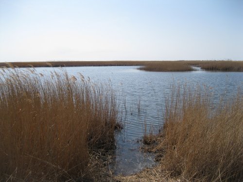 Славянский район, Ачуево, Прорвенский, Калабатка, Кучугуры, плавни, море, пляж, лиманы, скважины, нефть и газ