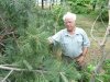 Незаконная вырубка берёзовой рощи в Гидрострое (Краснодар)