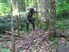 Вырубки во всемирном наследии в Адыгее