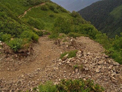 Расширенная тропа в урочище Медвежьи Ворота. Одно из самых широких мест