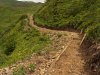 Расширенная тропа в урочище Медвежьи Ворота