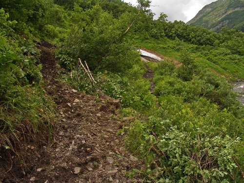 Расширенная тропа по дороге на реку Синяя