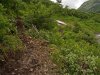 Расширенная тропа по дороге на реку Синяя