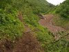 Расширенная тропа по дороге на реку Синяя