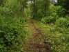 Расширенная тропа по дороге на реку Синяя
